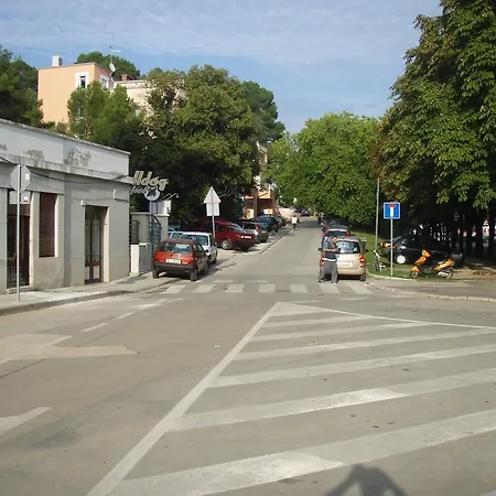 Vasic Apartament *