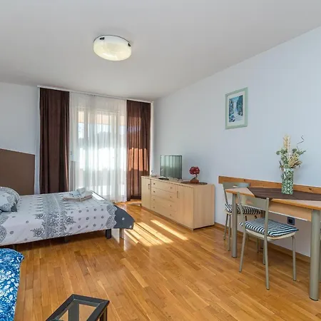 Vasic Apartment *